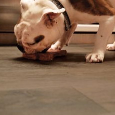 Maximum Scratch Protection