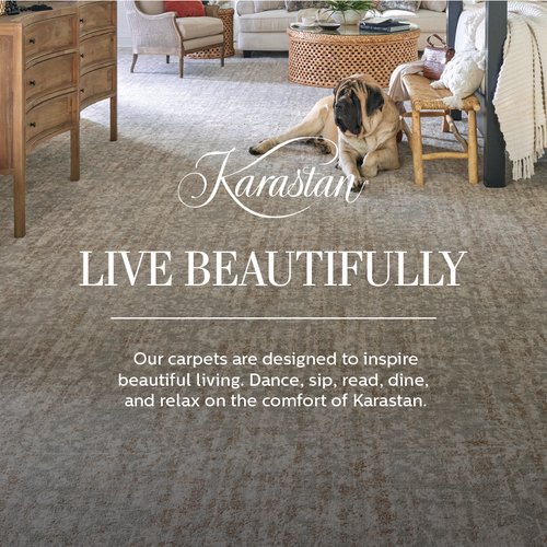 Roomvo_Karastan_Banner1_800x800