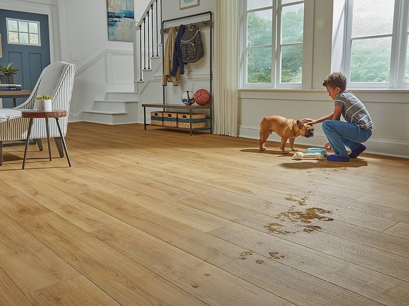 Boy and Dog water on RevWood Floor